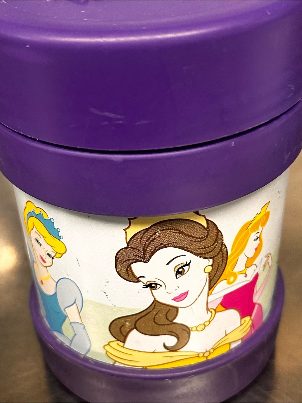 Disney Princess funtainer food thermos.